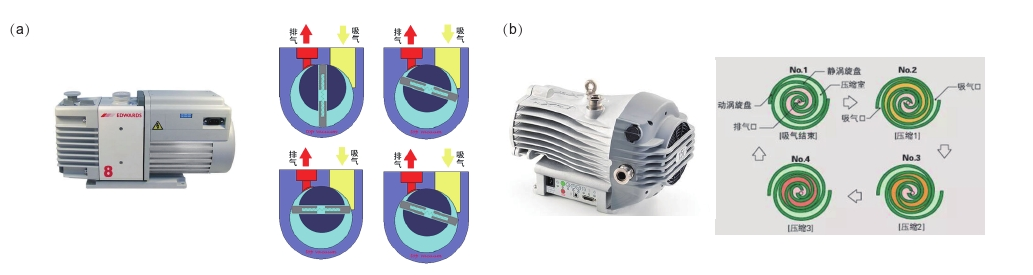 圖1真空泵及其工作原理簡(jiǎn)介。(a)油泵實(shí)物圖及其油泵工作原理圖。(b)干泵實(shí)物圖及其工作原理圖。