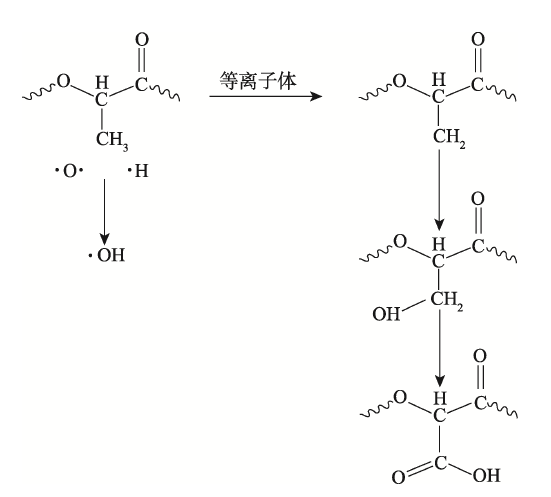 P L A膜表面等離子體處理機(jī)理