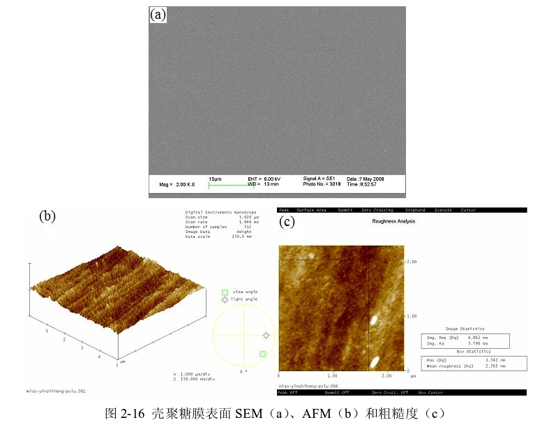 圖3-1 殼聚糖膜表面SEM(a)、AFM(b)和粗糙度(c) 