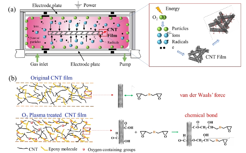圖 1(a)氧等離子體改性CNTs薄膜機(jī)理示意圖,(b)含氧基團(tuán)增強(qiáng)CNTs和樹(shù)脂間界面結(jié)合 機(jī)制原理圖 