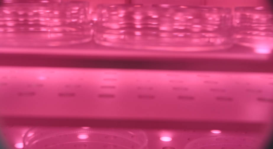 等離子清洗機(jī)工藝參數(shù)說(shuō)明